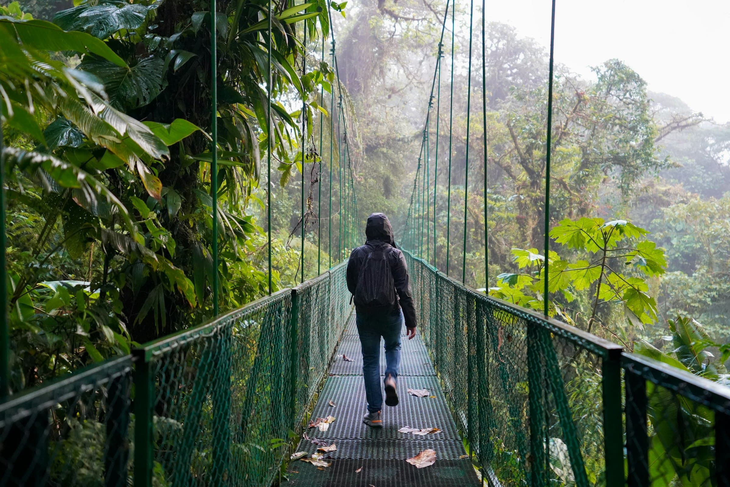 Someone with a backpack crossing a hanging bridge over the cloud forest, the jungle opening up below
